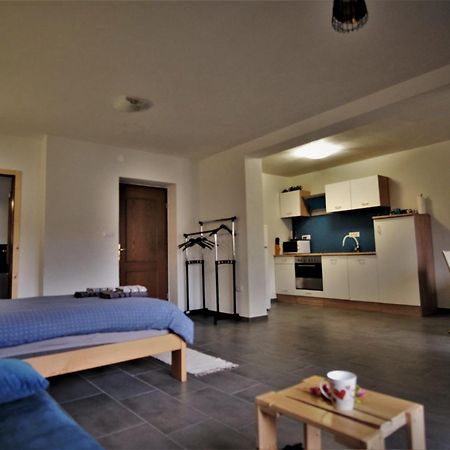 Апартаменты Old Square House - Hisa Na Starem Trgu Толмин Экстерьер фото